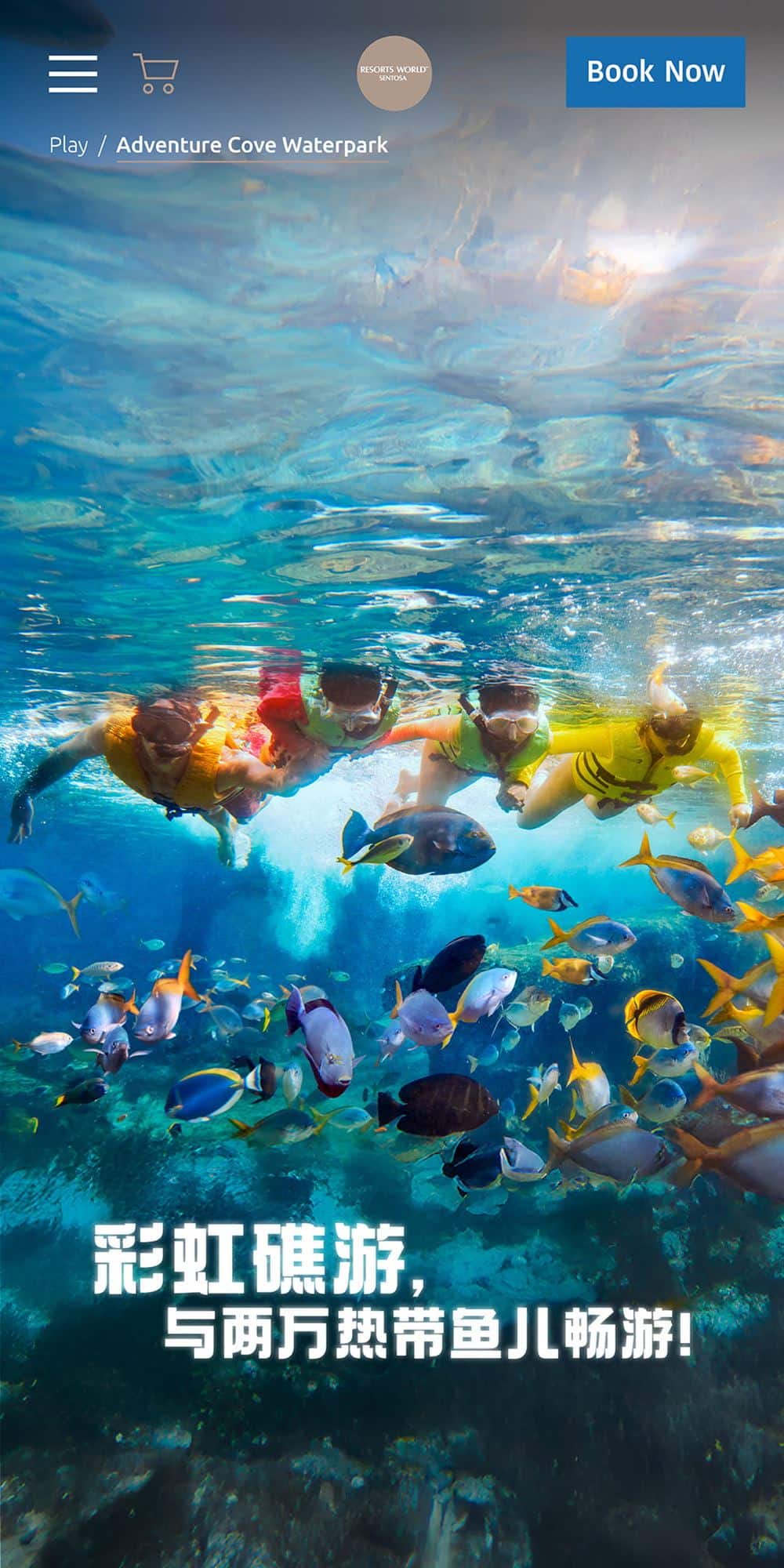 彩虹礁游- 水上探险乐园