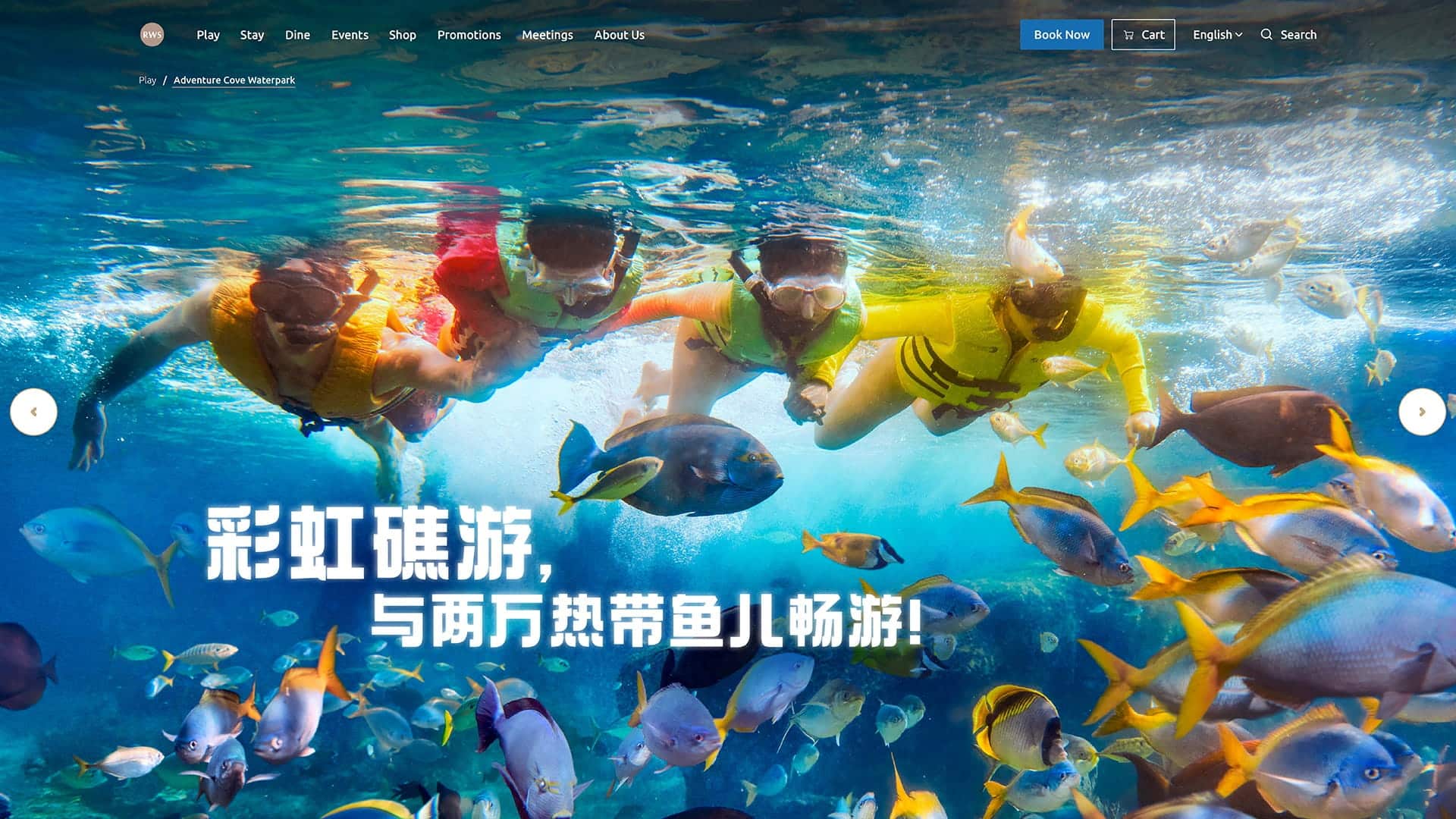 Adventure Cove Waterpark Rainbow Reef
