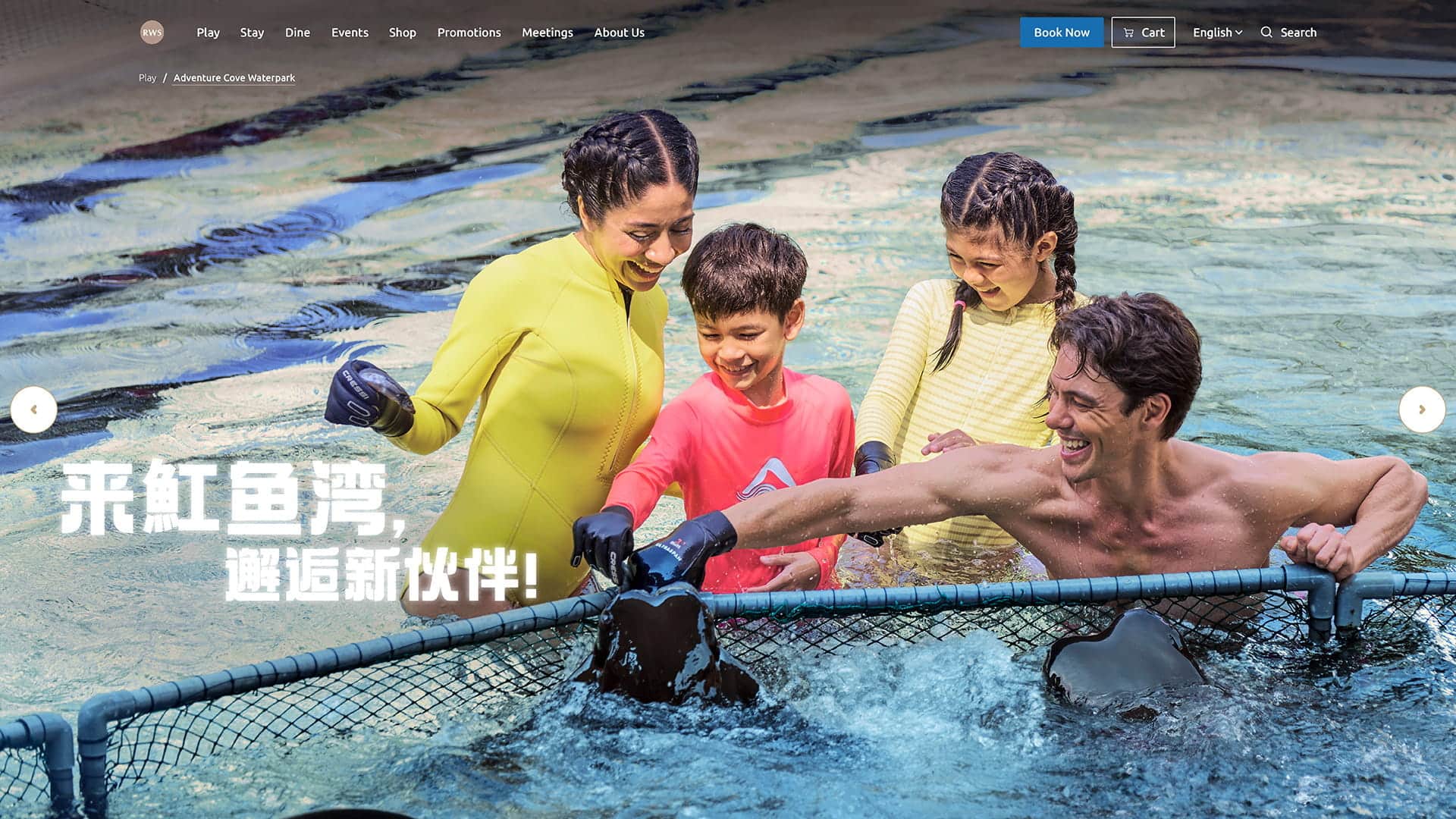 Adventure Cove Waterpark RayBay Encounter