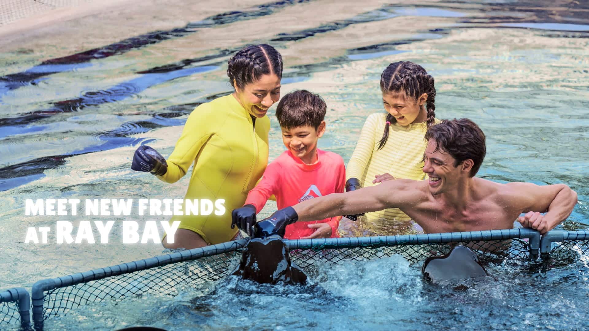 Adventure Cove Waterpark RayBay Encounter