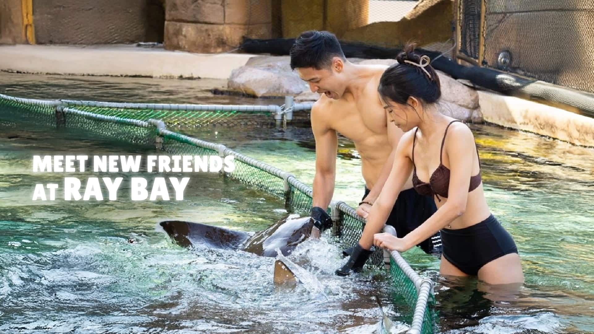 Adventure Cove Waterpark Ray Bay