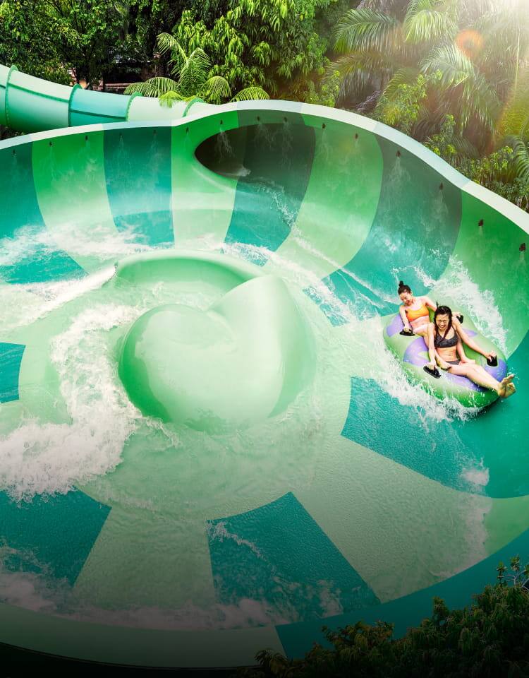 Whirlpool Washout Adventure Cove Waterpark