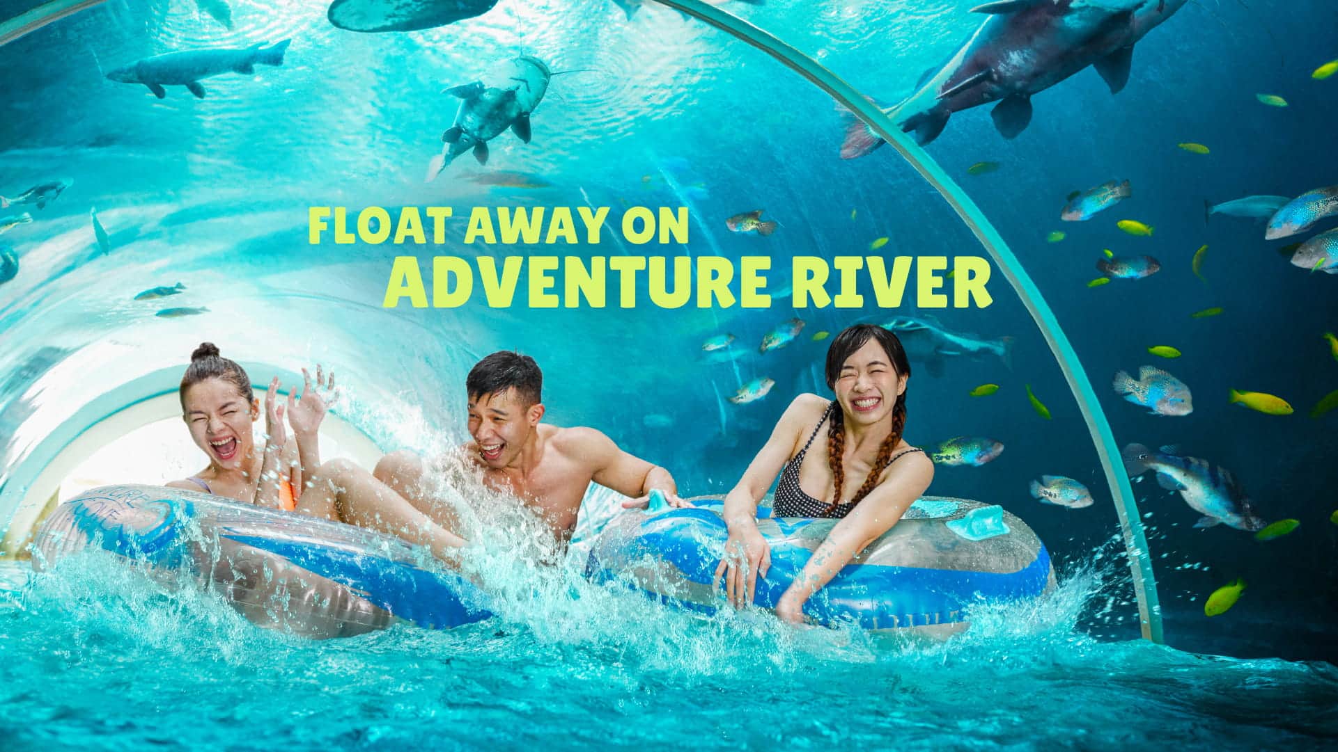 Adventure-Cove-Waterpark-Adventure-river