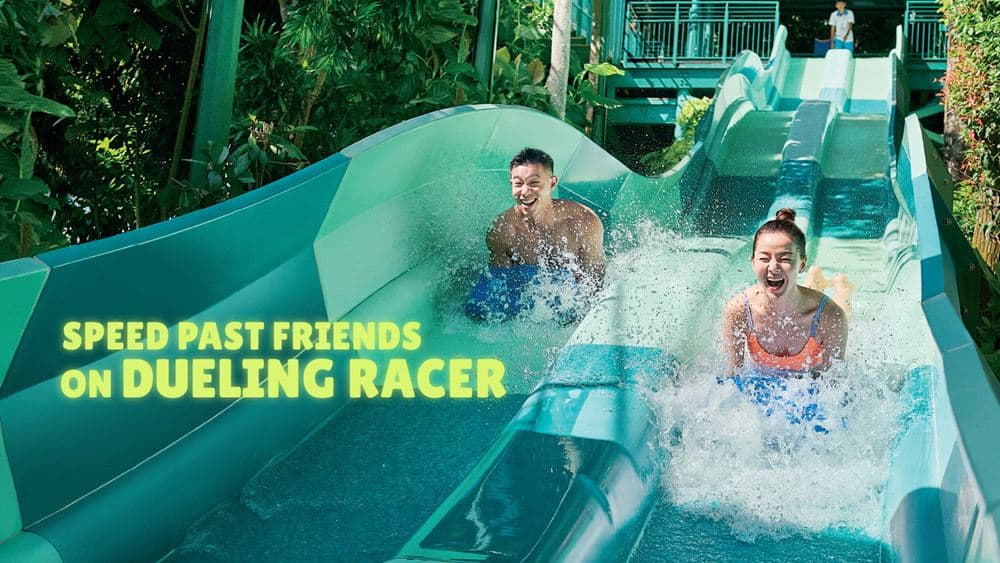 Image 2: Adventure-Cove-Waterpark-Dueling-Racer