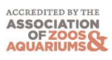 Dolphin Island - Assocation of Zoo and Aquarium Logo