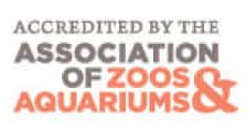 Dolphin Island - Assocation of Zoo and Aquarium Logo