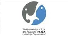 Dolphin Island - World Assocation of ZOo and Aquarium Logo