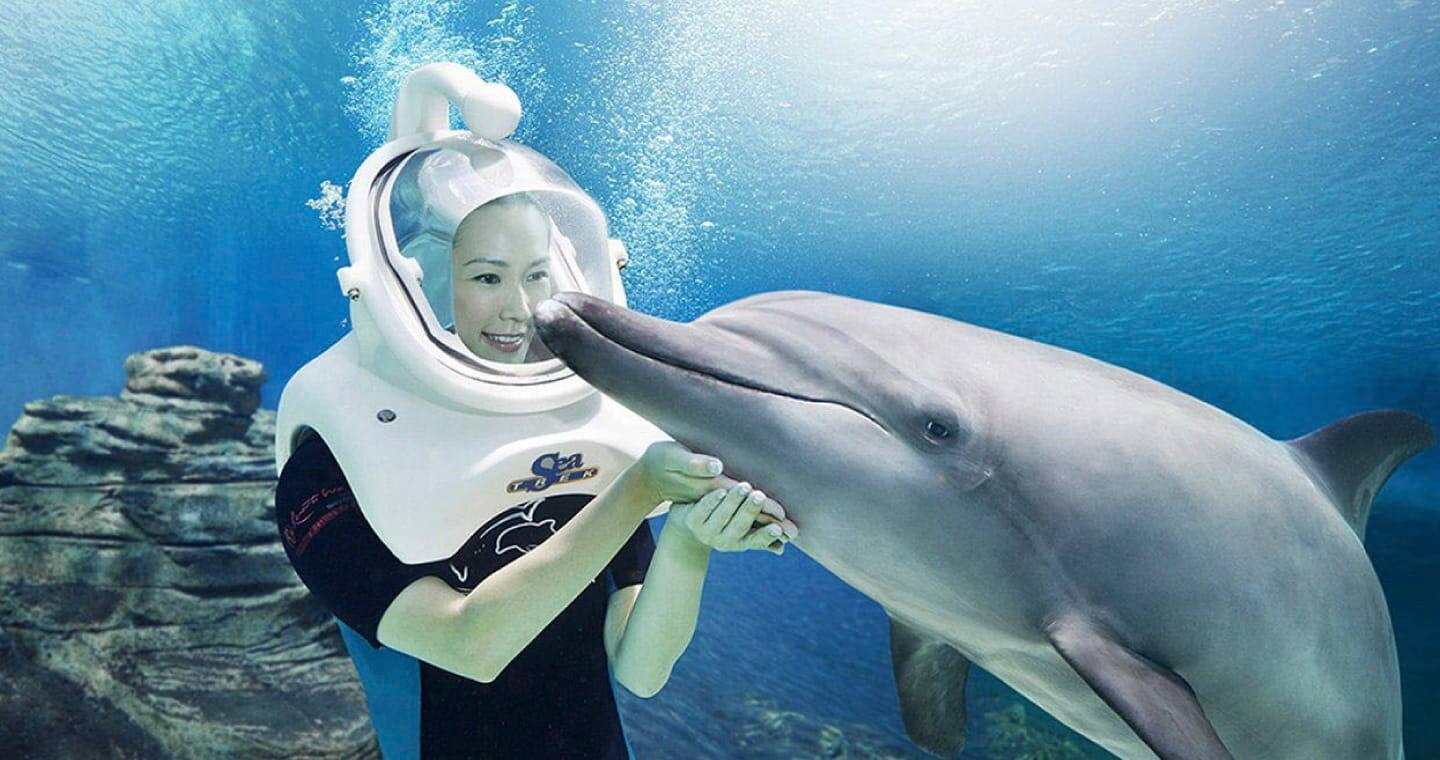 Dolphin-Island-Dolphin-Trek-1440x760-5