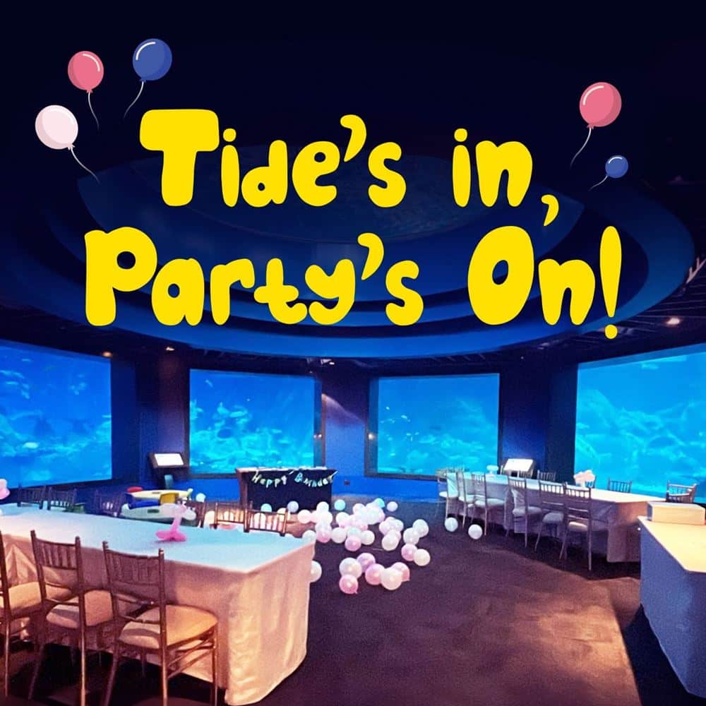 S.E.A Aquarium Birthday Package