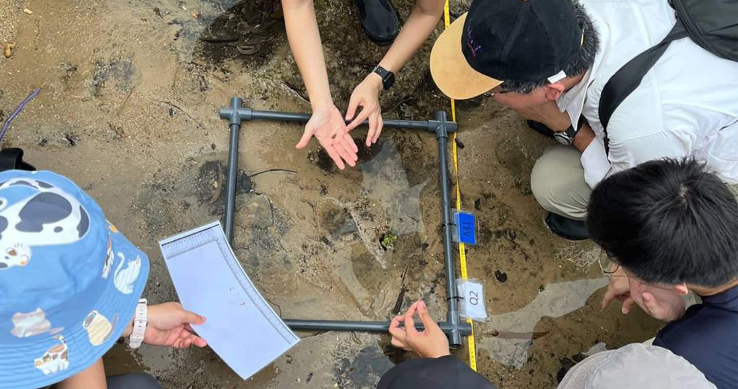 Citizen Science Prog