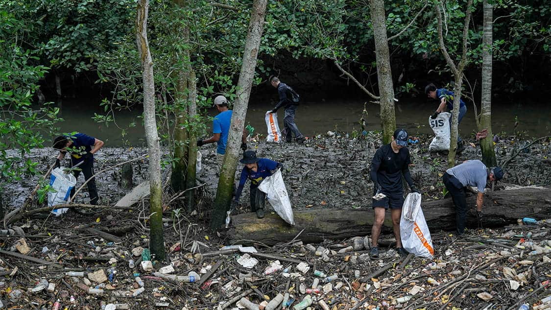 RWS - Ocean Advocates Triple Cleanup - Mangrove