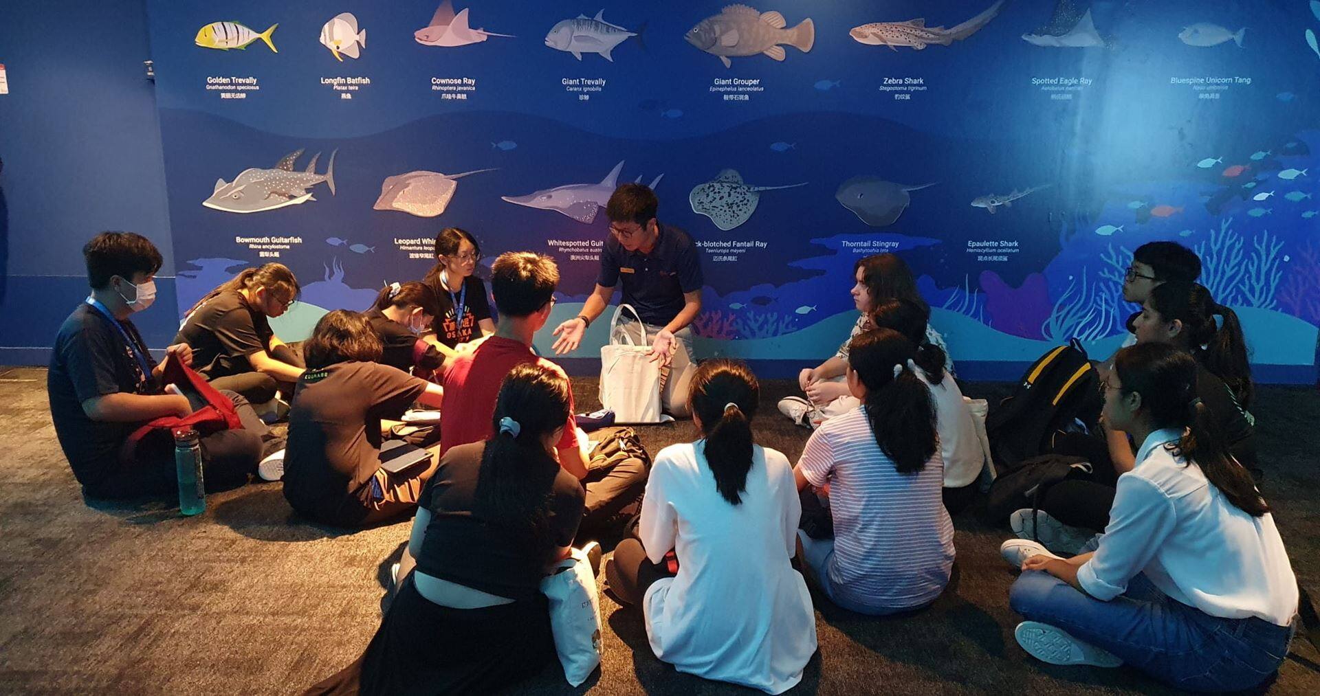 masthead_SEAA_Youth Ocean Ambassador Programme Dec24