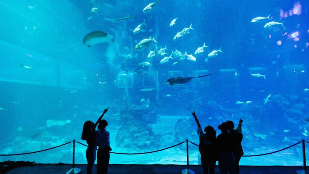 Attraction_SEA_OOH_Thumbnail