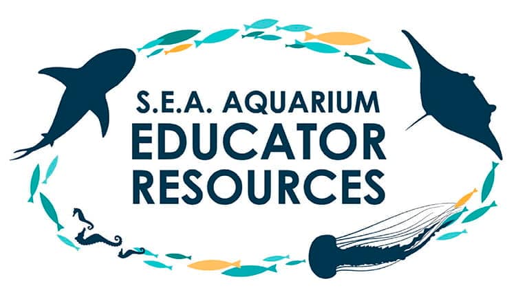 SEAA-edu-prog-edu-resources-750x422