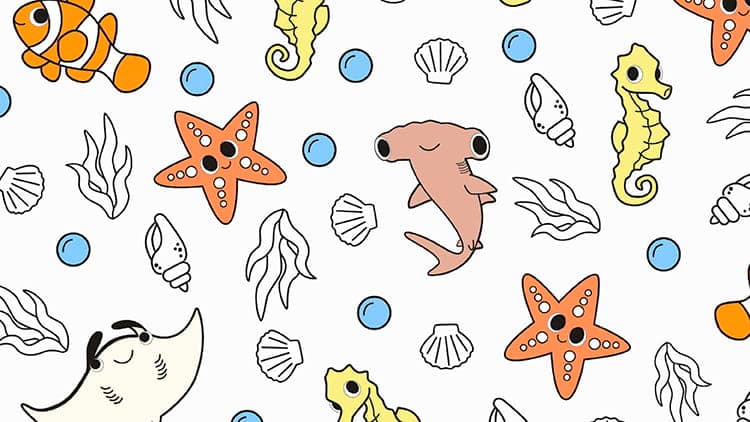 教师资源 教师资源