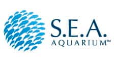 SEAA Logo_224x120