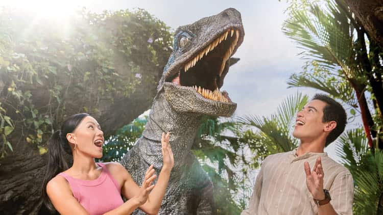 Raptor Encounter - Universal  Express