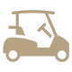Buggy Icon