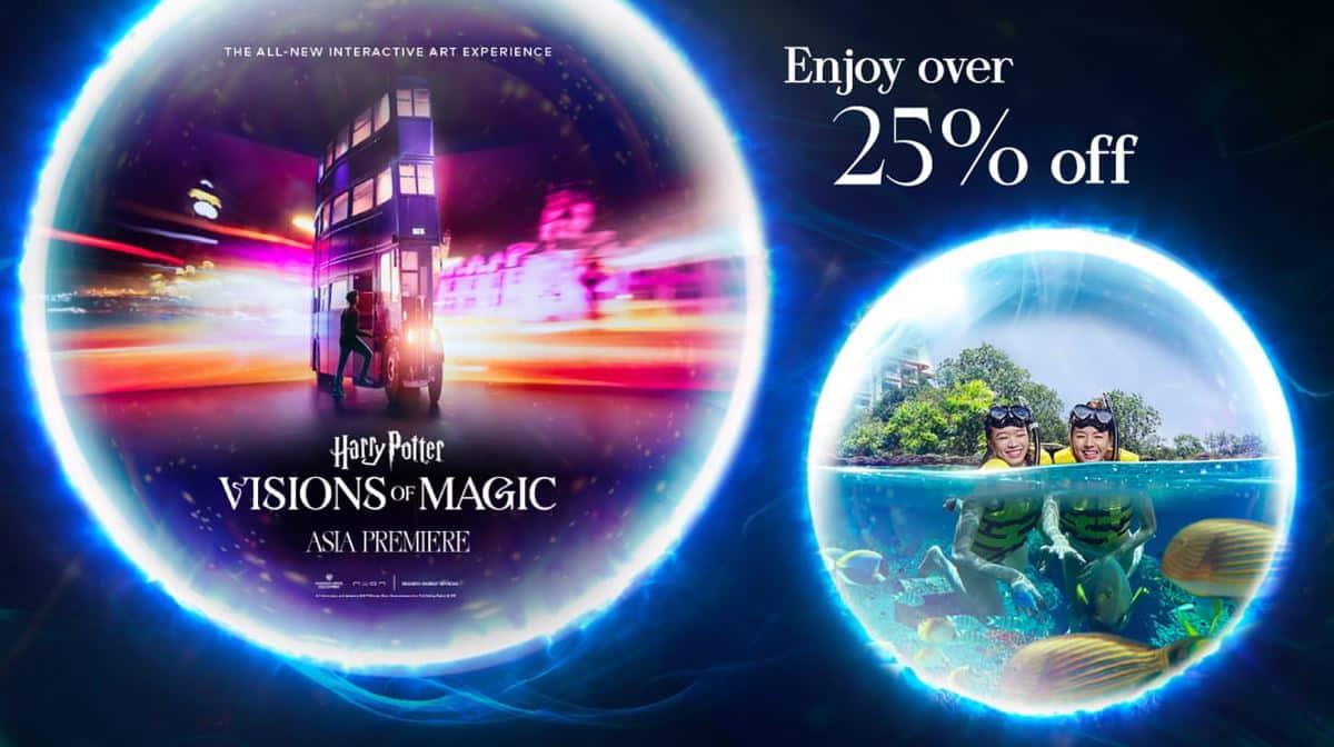 Harry Potter - Visions of Magic