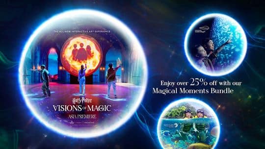 Harry Potter - Visions of Magic Masthead