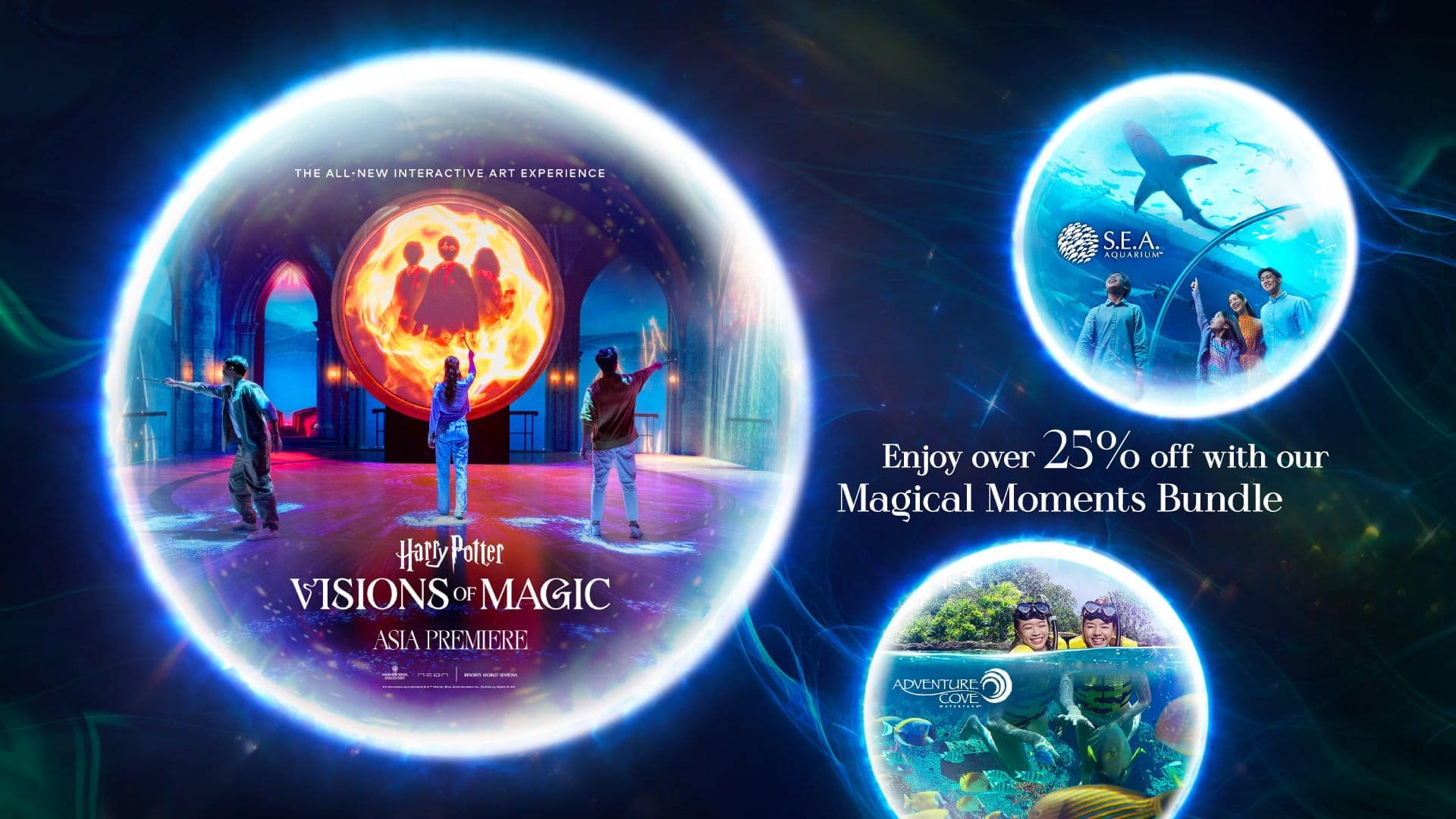 Harry Potter - Visions of Magic Masthead