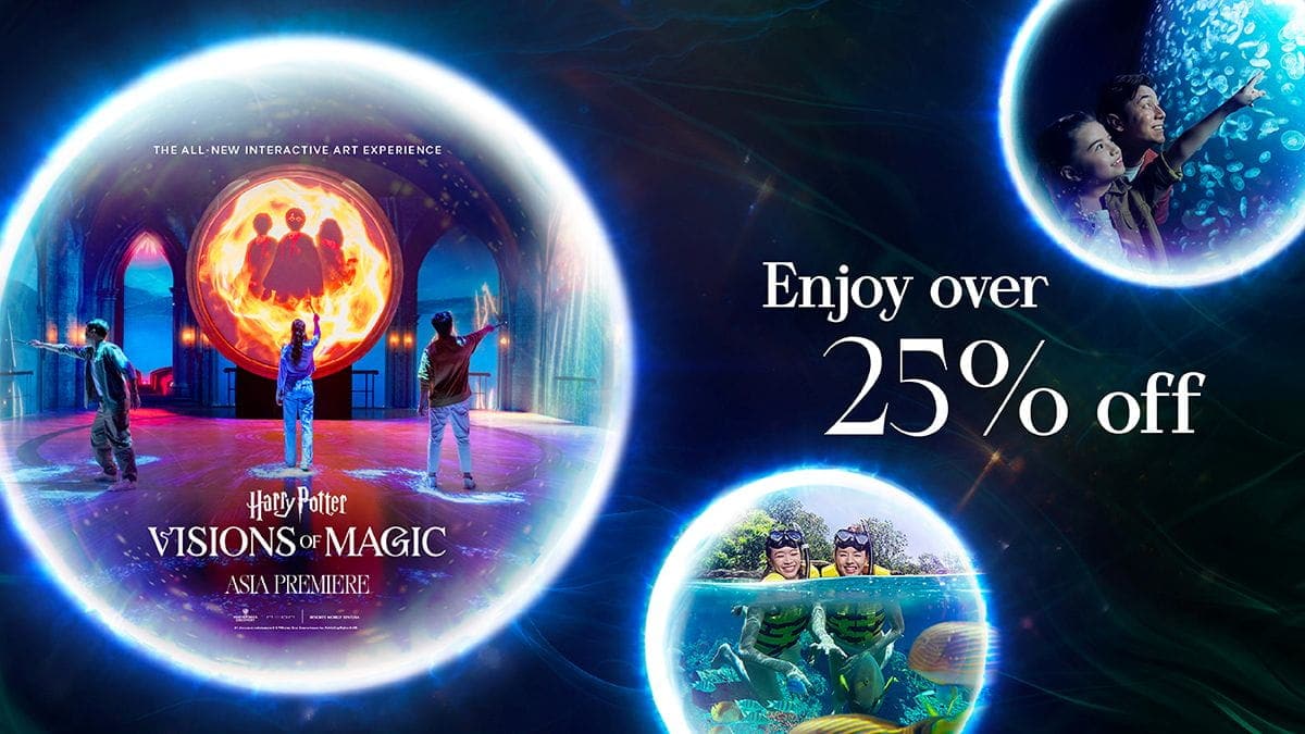 Harry Potter - Visions of Magic