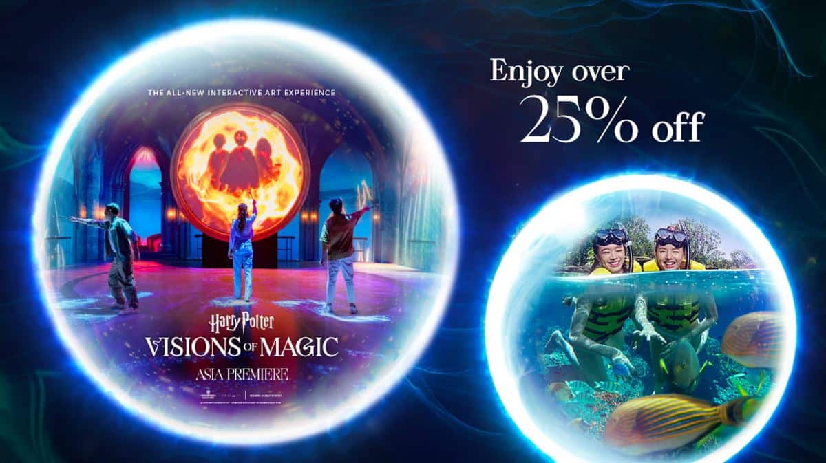 Harry Potter - Visions of Magic