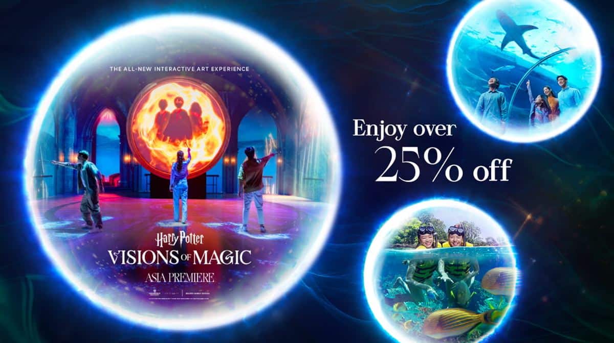Harry Potter - Visions of Magic