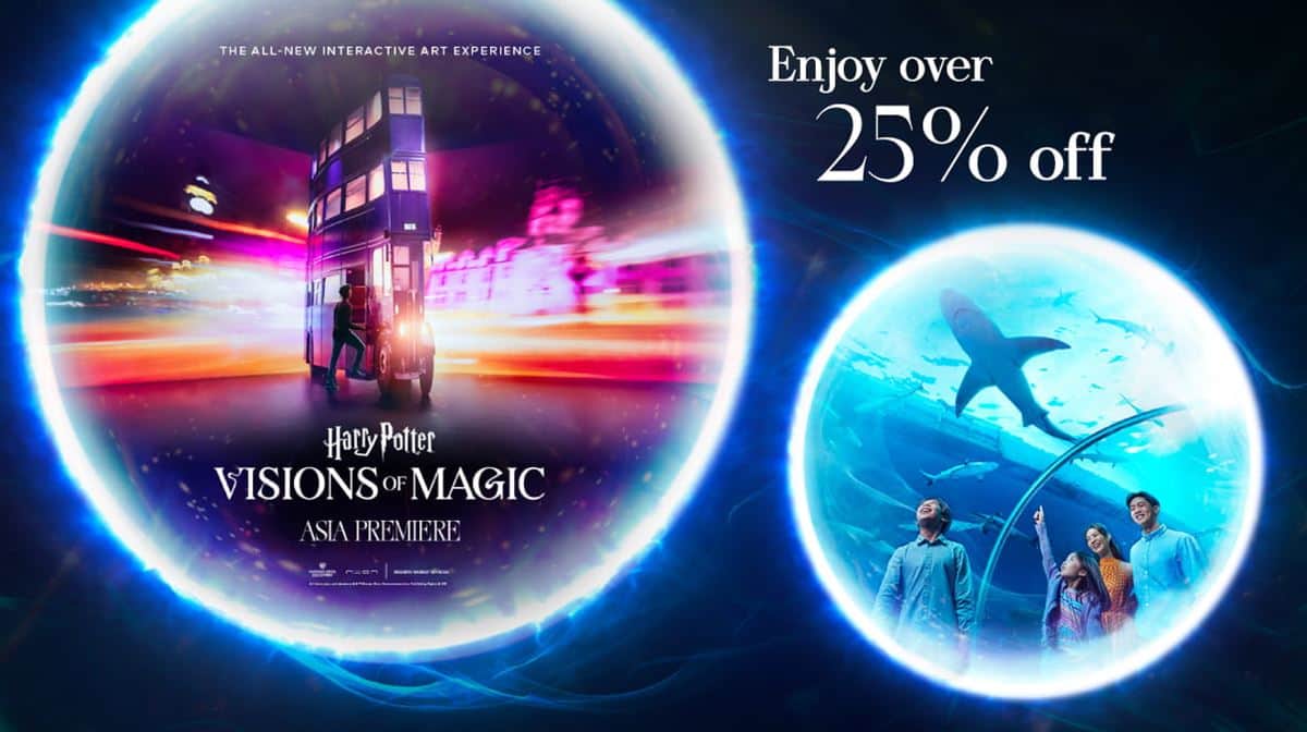 Harry Potter - Visions of Magic