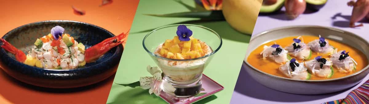 Harry Potter: Visions of Magic