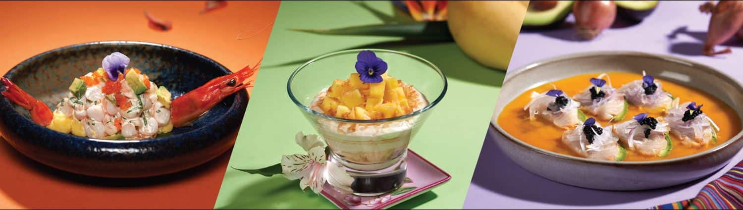 Harry Potter: Visions of Magic