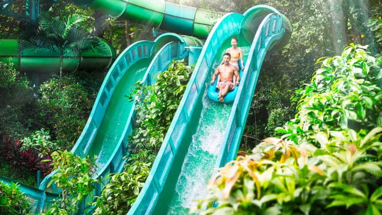 adventure cove waterpark 750x422