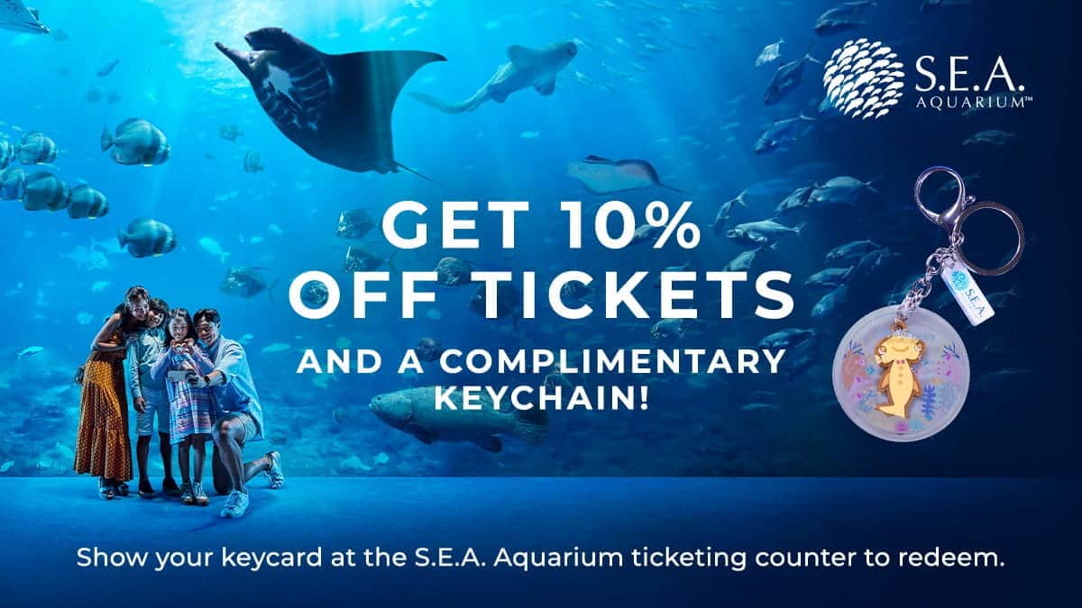 Dive into Double Deals