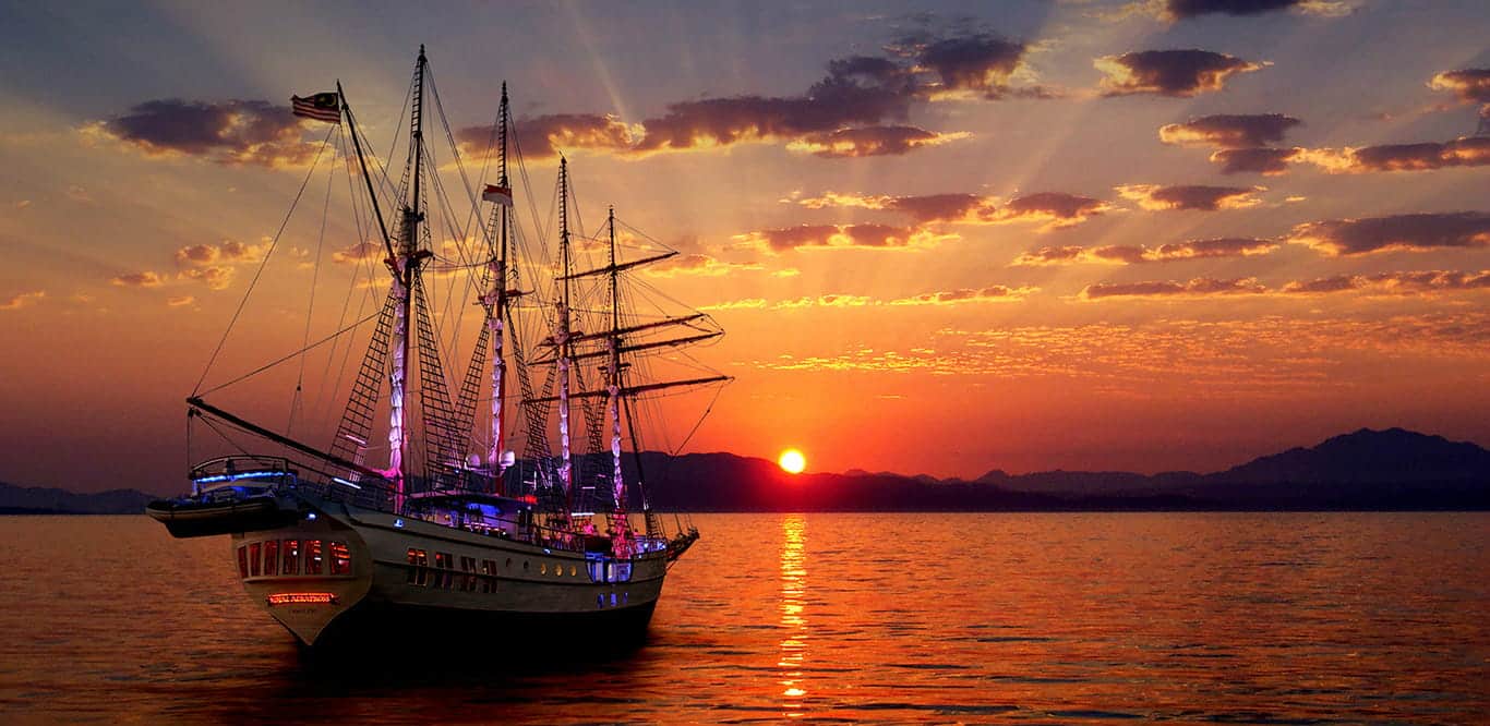 TheRoyalAlbatross-SunsetSail