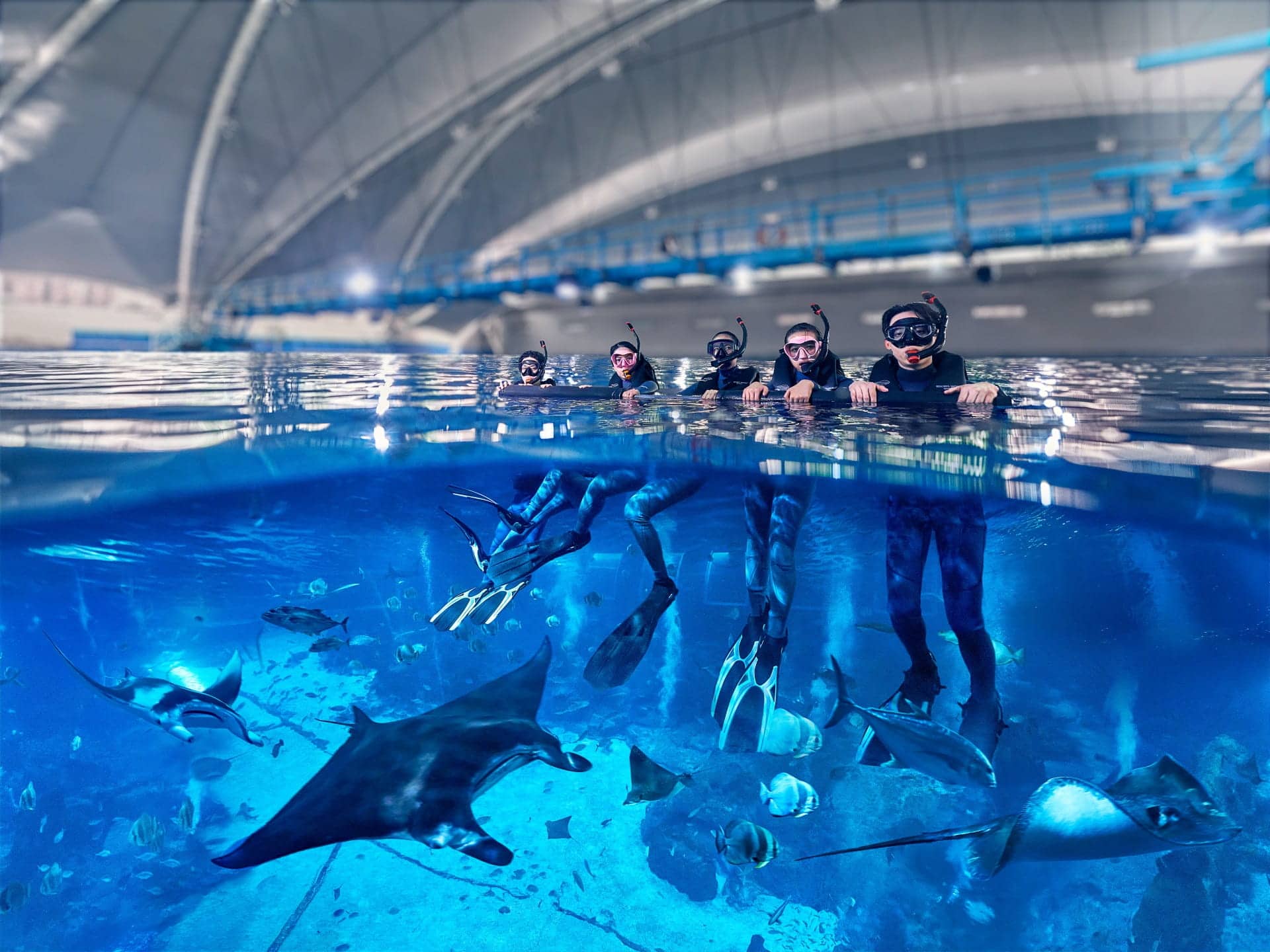 Padi Discover Snorkeling