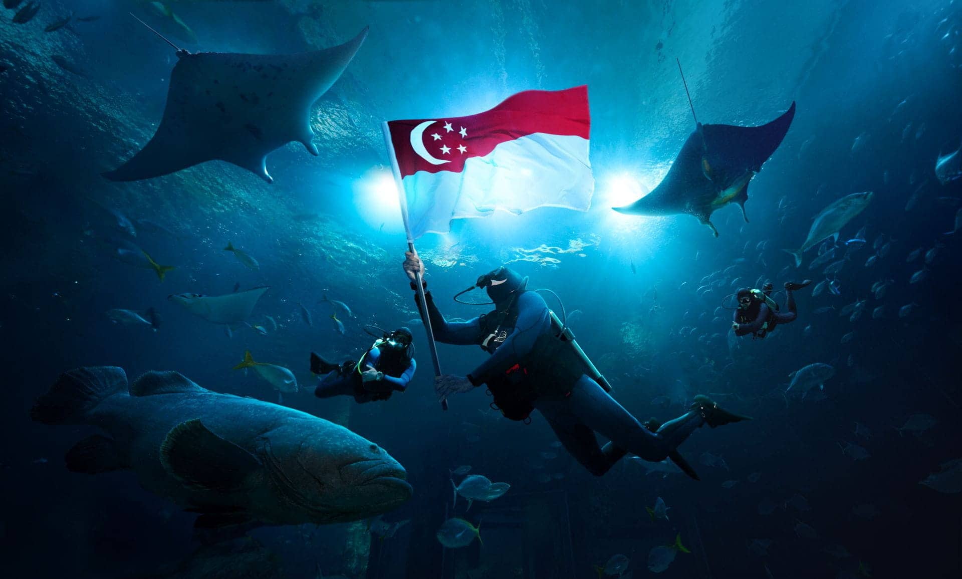 Singapore Oceanarium