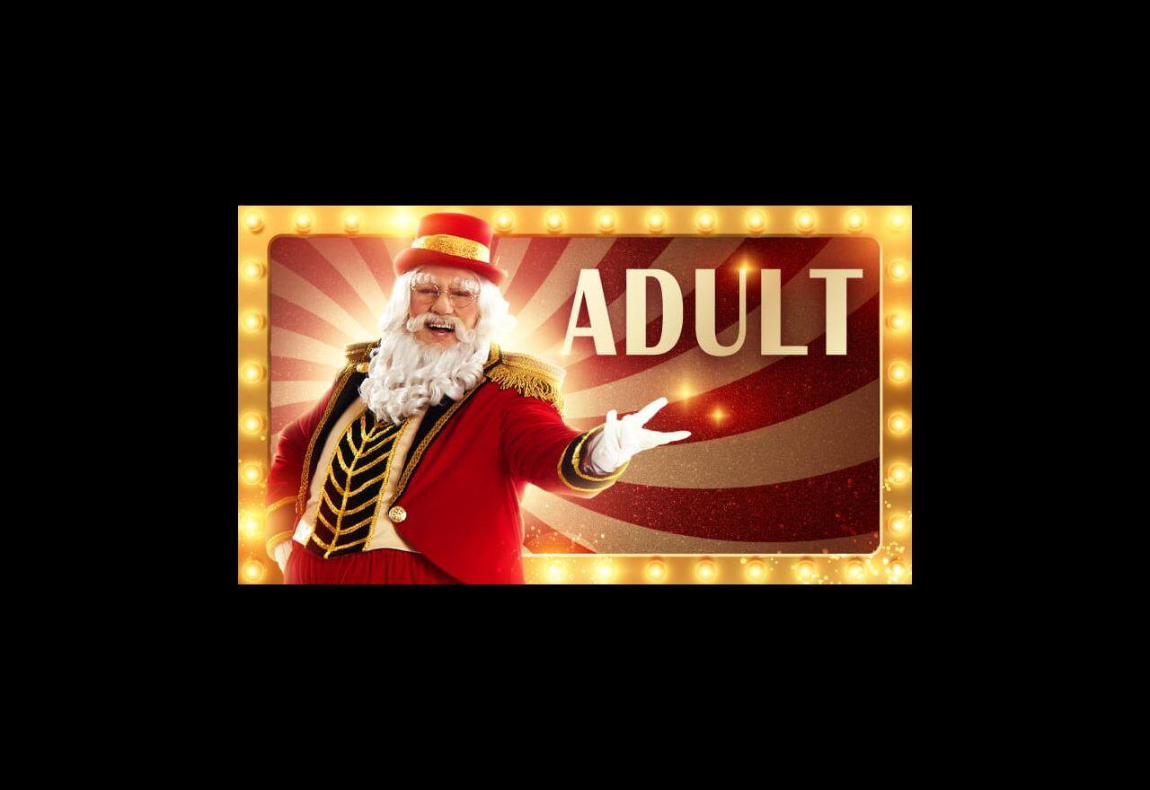 Universal Christmas Adult Package