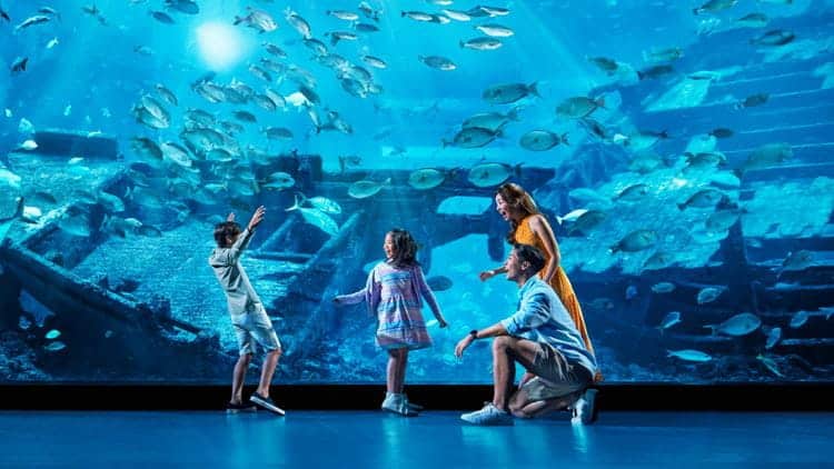 Resorts world Sentosa Attractions staycation packages 