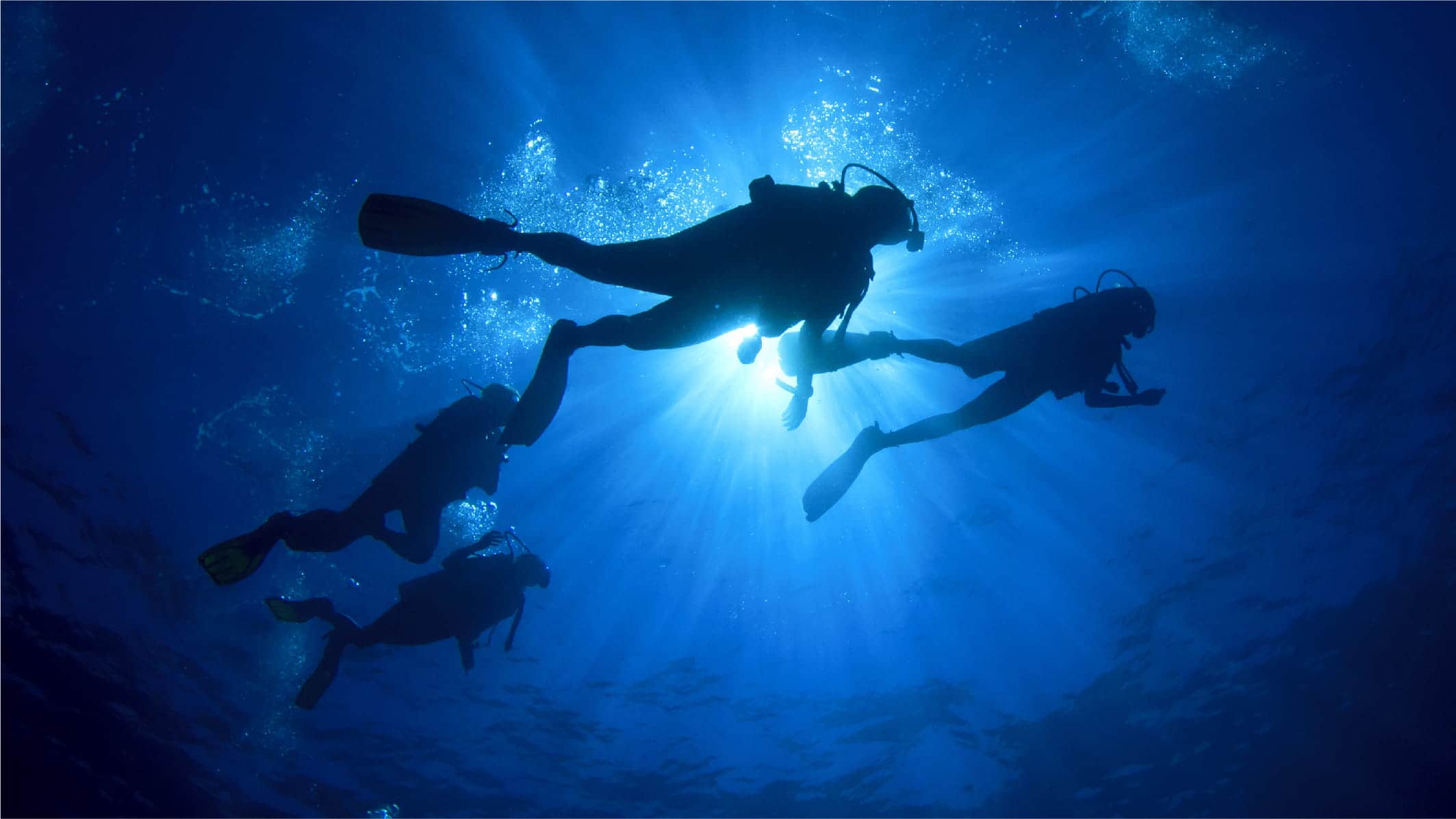 Twilight Dive Package _750x422