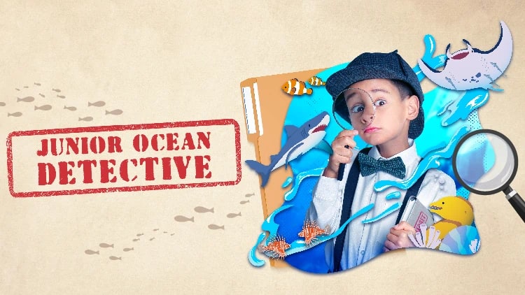 Junior Ocean Detective