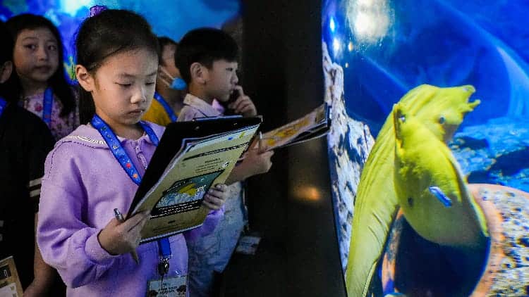 Junior Ocean Detective