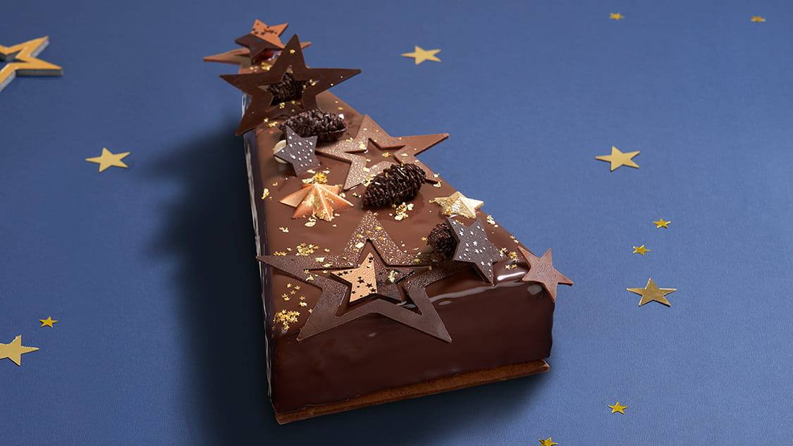 Starry Chocolate Log