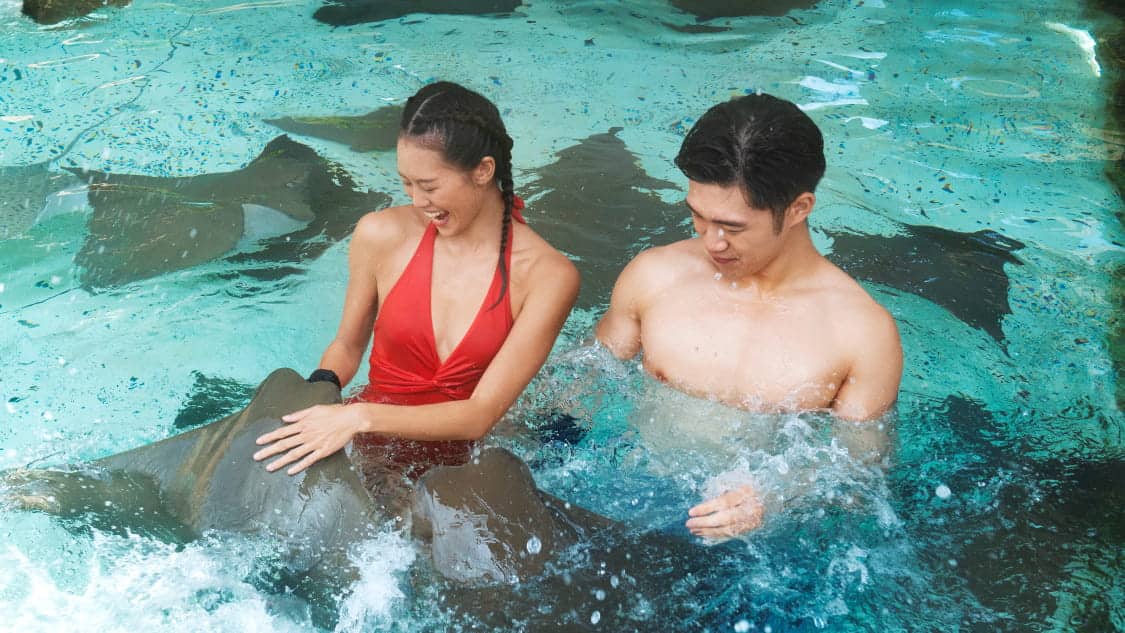 Triple Splash Pass - Couple playing with the matarays in the Adventure Cove Waterpark 