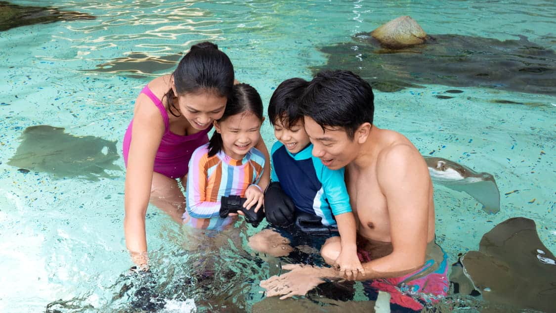 Triple Splash Pass - Family of three  playing with the matarays in the Adventure Cove Waterpark 