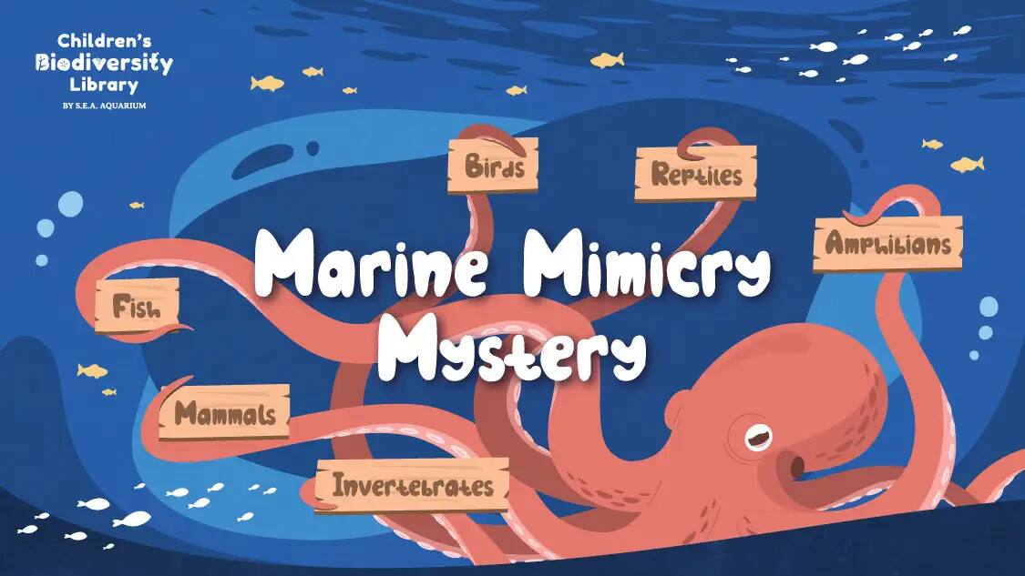 RWS - Children Biodiversity Library - Marine Mimicry Mysetery