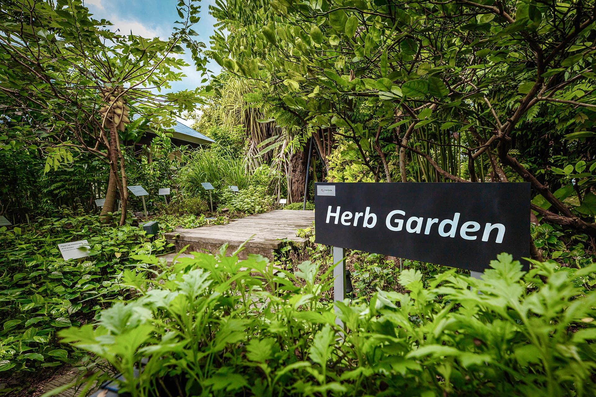 Resorts World Sentosa - Herb Garden