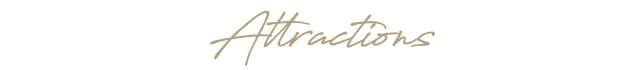 Attractions Label