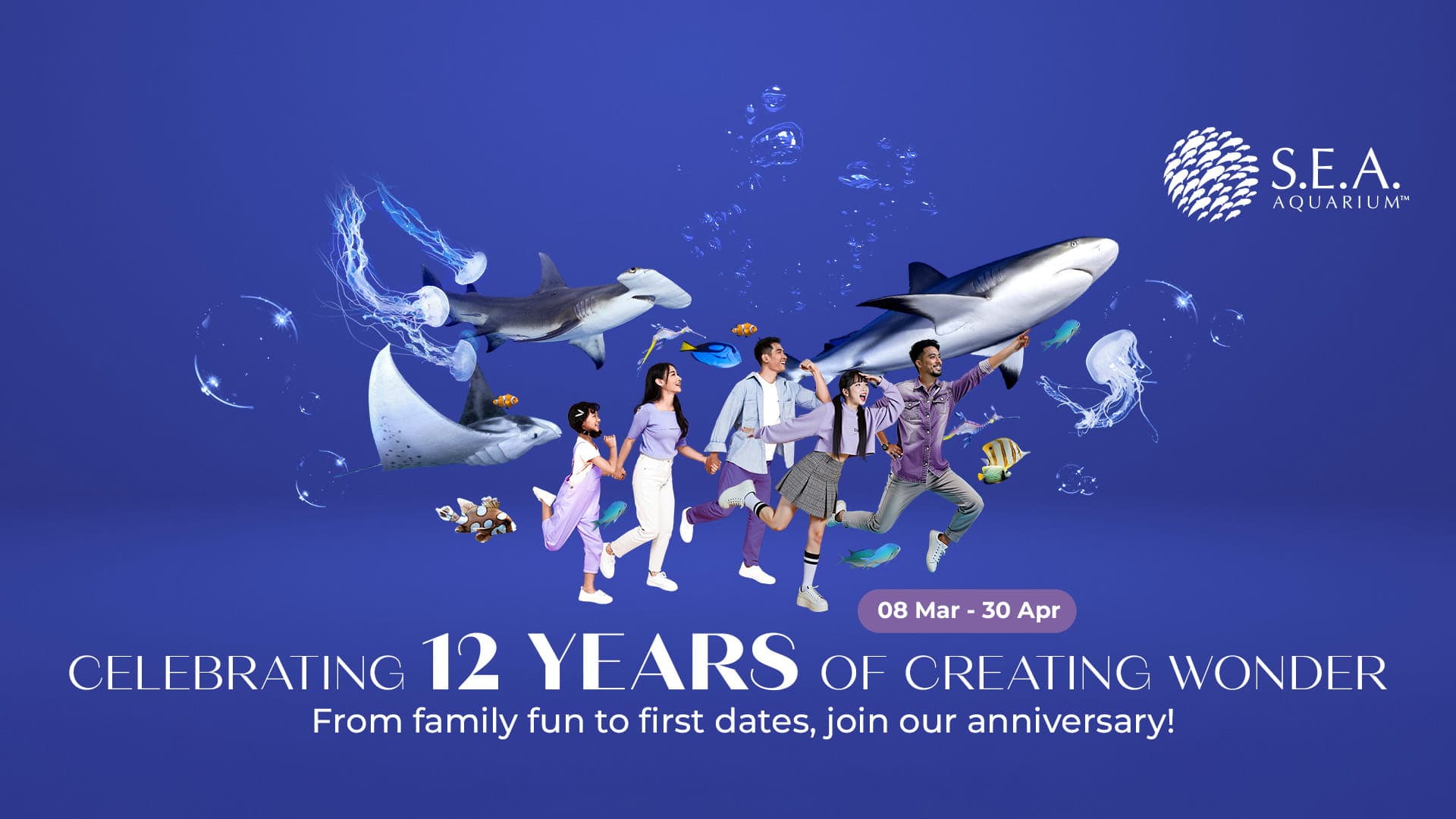 S.E.A Anniversary - 12 Years of creating wonder