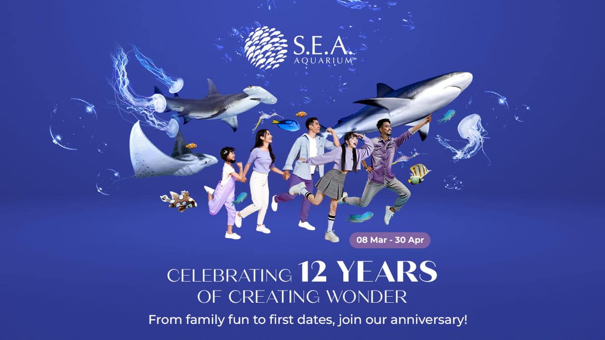 S.E.A Anniversary - 12 Years of creating wonder