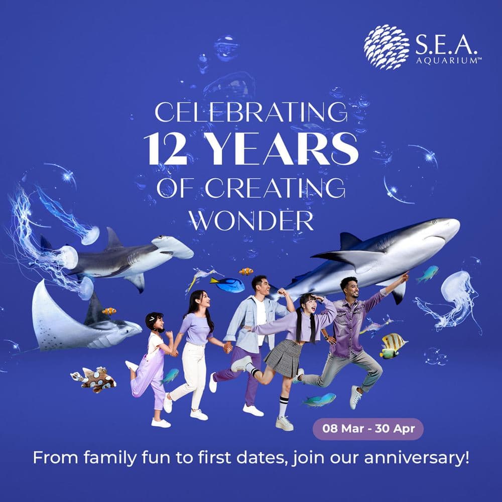 S.E.A Anniversary - 12 Years of creating wonder
